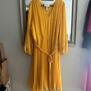 BeautiCurveXLane Bryant pleated dress
